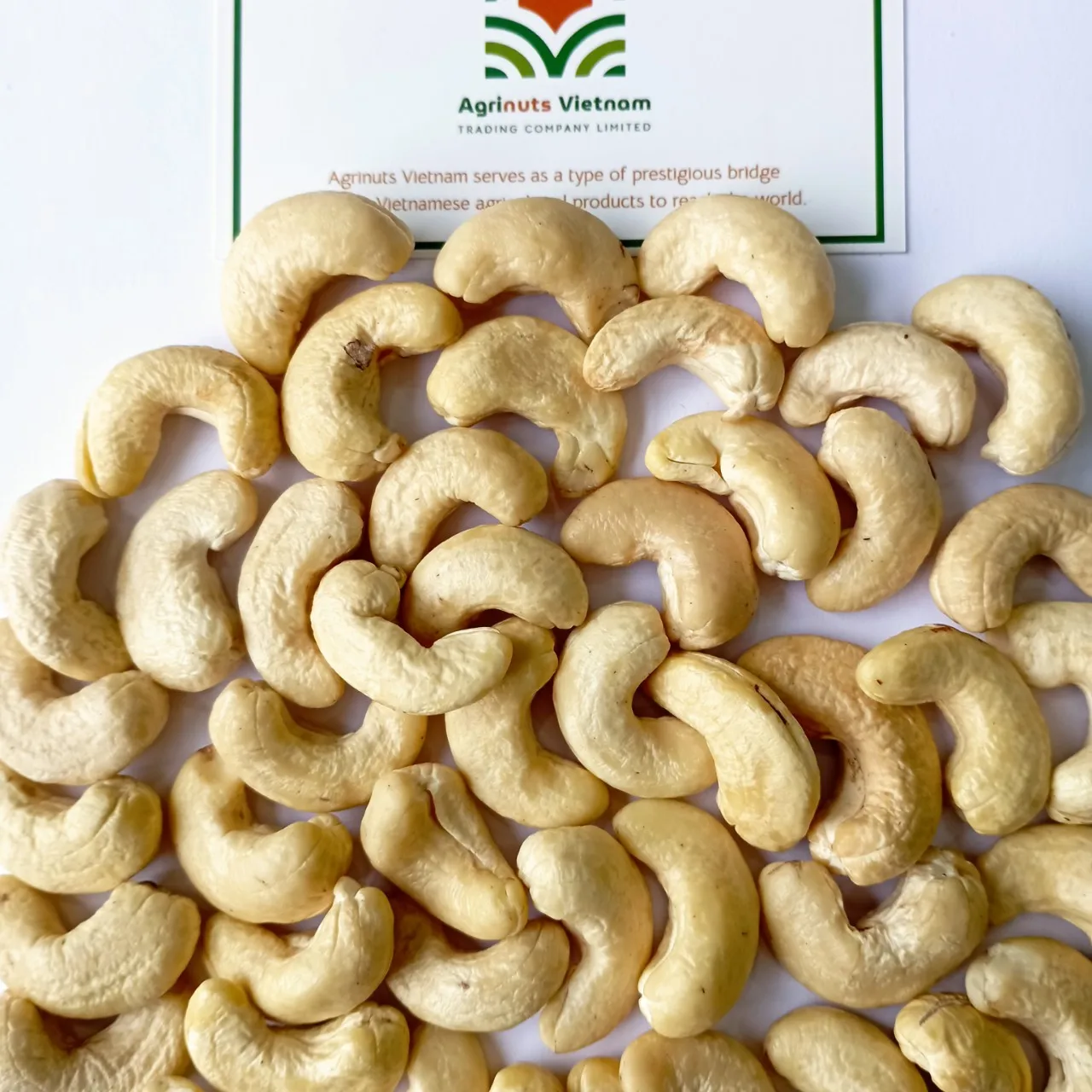 High Quality Cashew Nuts w240 Delicious Cashew Nut Kernel 100 % Natural For wholesale Negotiable Price
