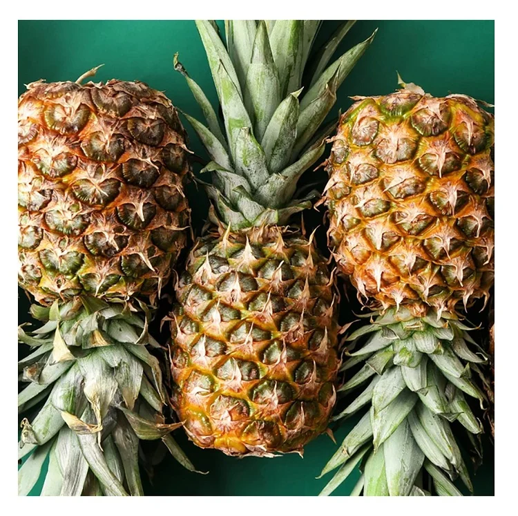 Export Quality Fresh Sweet Pineapples Available