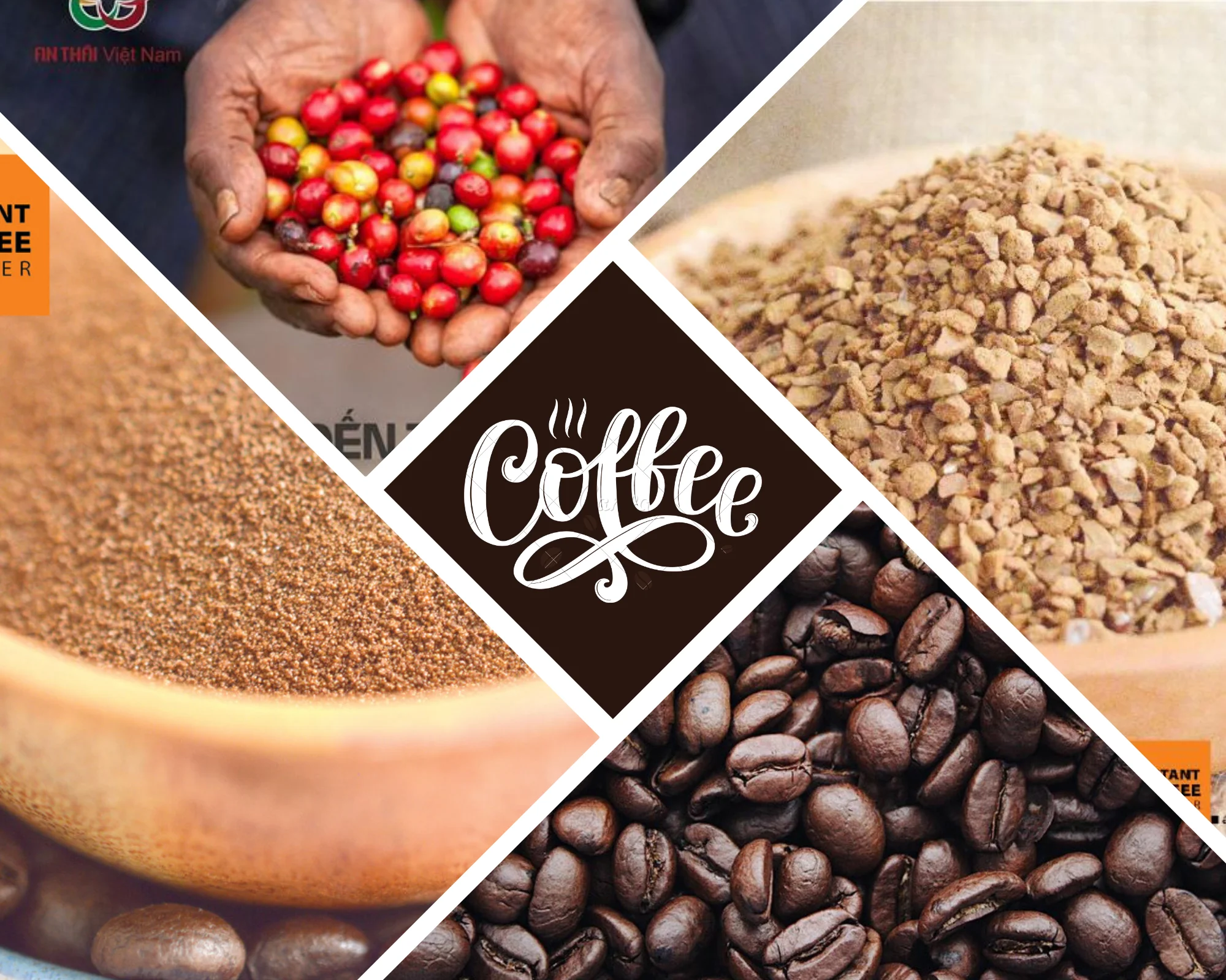 Высококачественный порошок растворимого кофе 100% ROBUSTA ORIGINAL DAK LAK Вьетнам