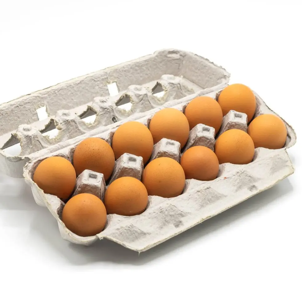 Wholesale Fresh Table Eggs (Chicken eggs) / Fresh table eggs white and brown / Fresh Table Eggs White 40g-50g-60g-65g-70g