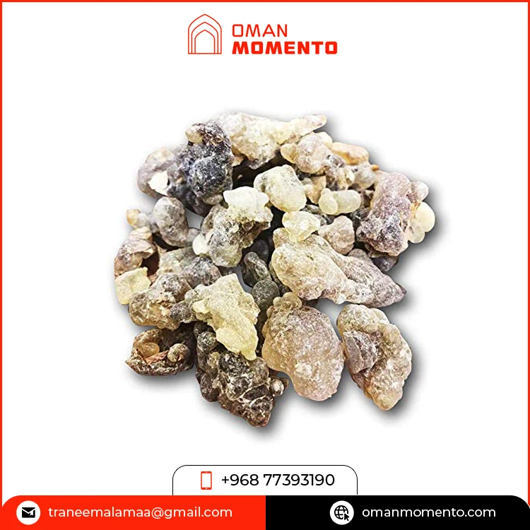 Superb Quality Highest Selling Exotic Religious Aromatic Use Best House Fragrance Oman Loban / Frankincense Resin for Dhoop