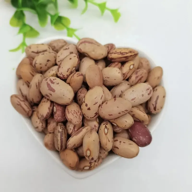 sugar beans 5.jpeg