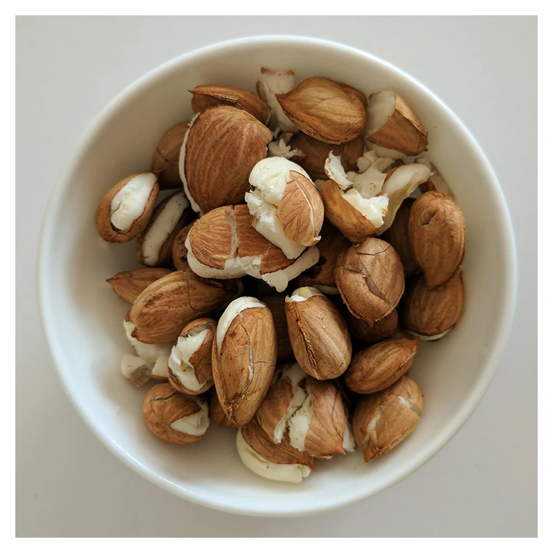 Low Price Dried apricot, apricot kernels Hot Selling Competitive price Pro quality Bitter Apricots Kernels