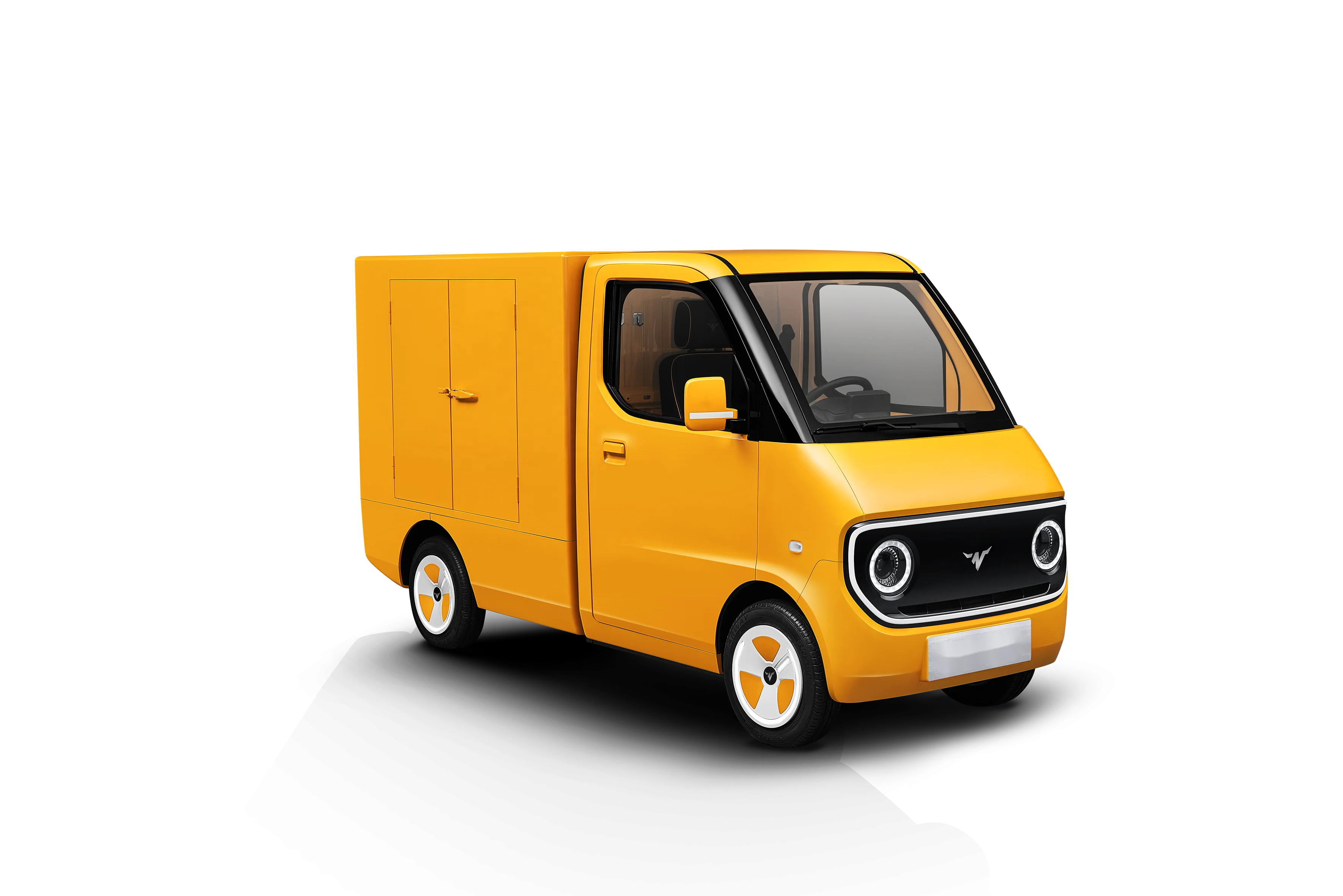Electric Van with EEC Certification for New Energy/Electric truck