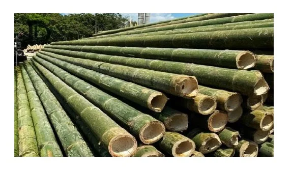 Natural Bamboo Splits Products Quality Bamboo Export In Bulk With Competitive In The Market