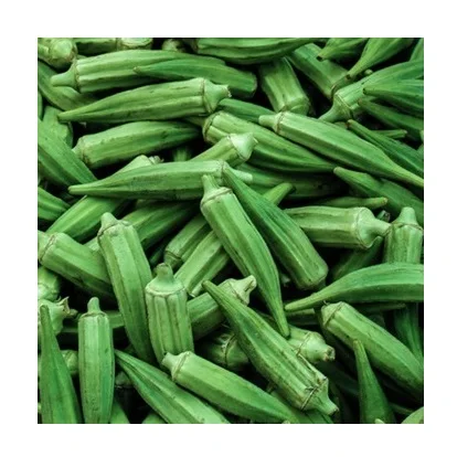 High Quality Fresh Vegetables Okra Available For Sale At Low Price