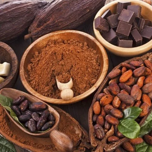 raw cocoa beans for sale ghana cocoa beans cocoa beans bulk Ready for delivery