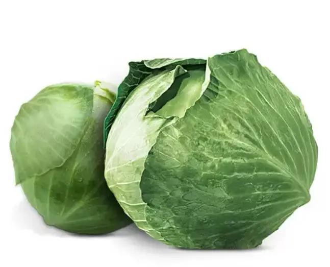 Competitive Price Organic Cabbage Style Piece Weight Origin Type Variety Product Fresh Place Model Cultivation From Bangladesh