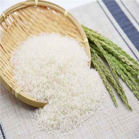 Jasmine Rice White Produced In Thailand , High Quality Fragrant White Rice, Used To Process A Variety