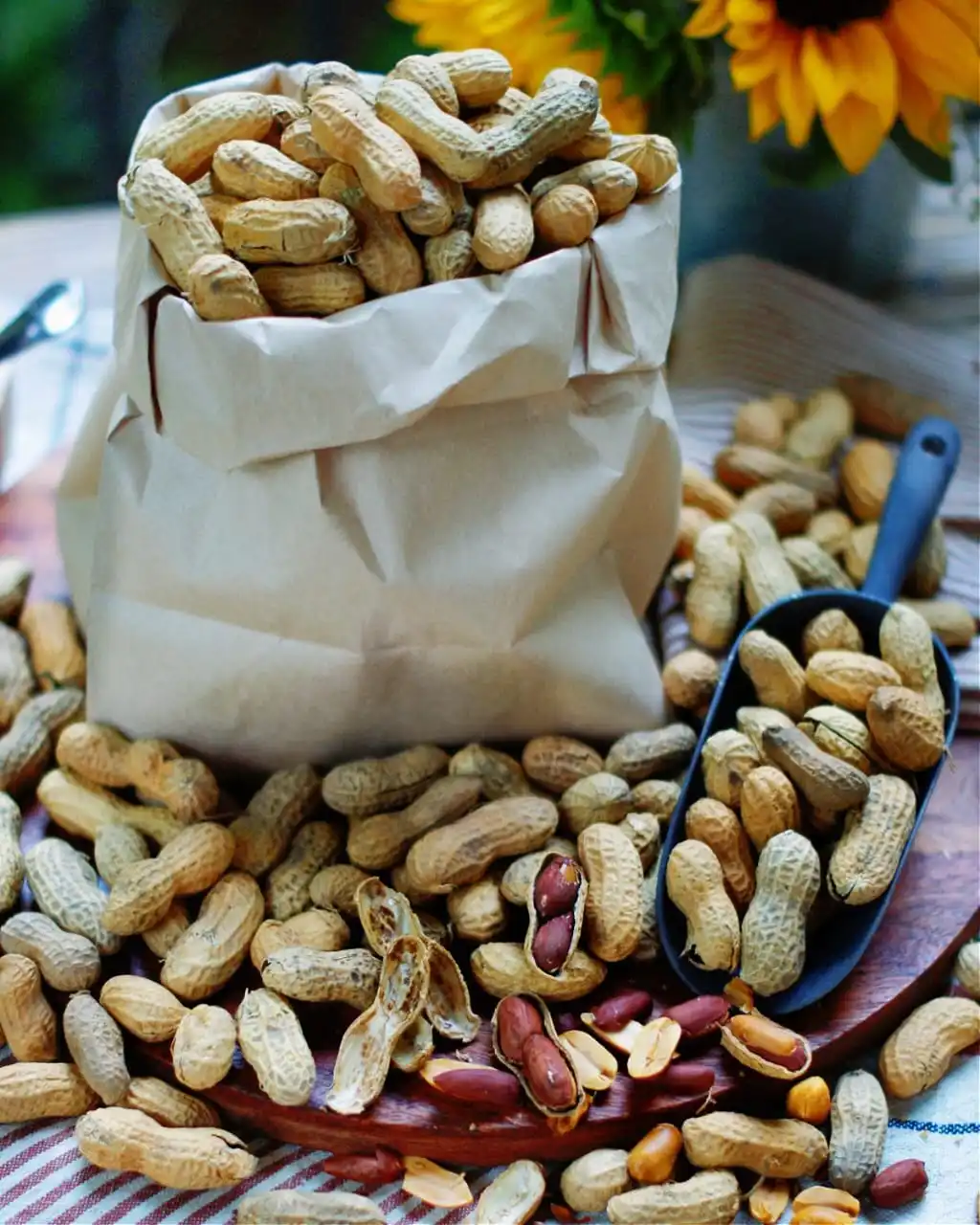 Highest Quality Peanut ,Dried Kernel Peanuts Groundnut