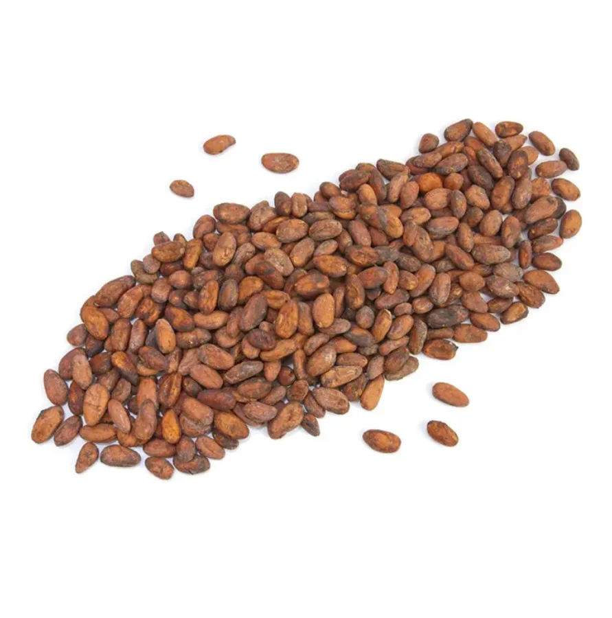 100% Cacao Beans seeds and Cocoa premium quality Natural cocoa West Africa cocoa beans wholesale suppliers
