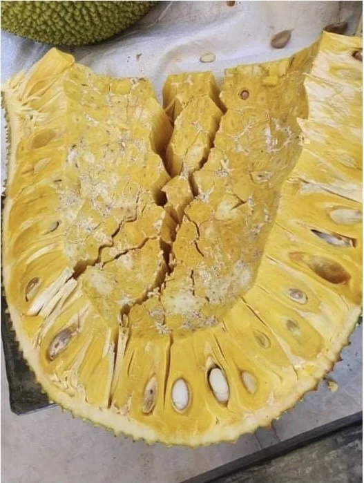 Frozen Golden Thai Jackfruit