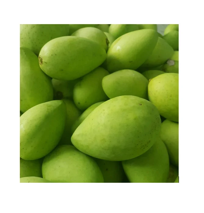 Premium Bulk Fresh Mango product