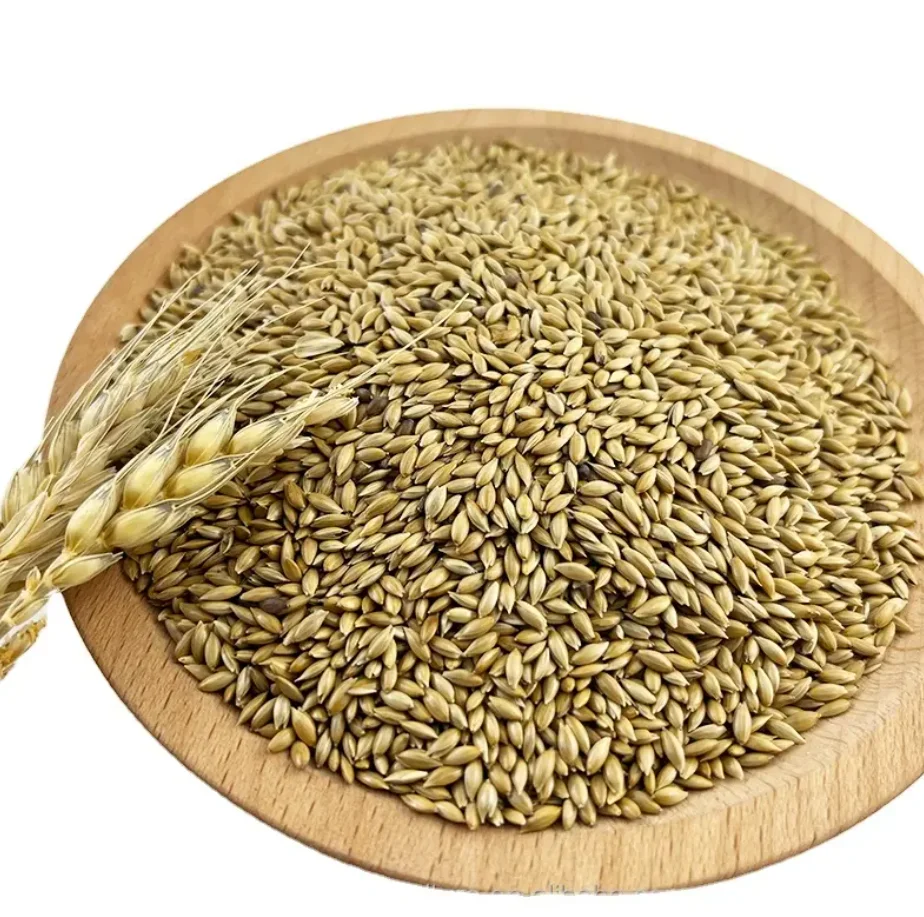 Factory supply canary seed canary bird seed alpiste with good price Wholesale Canary Seeds Organic