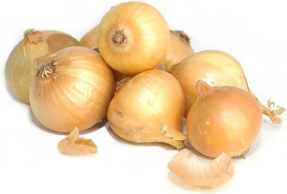 Wholesale Fresh Red Onion/Yellow Onion.