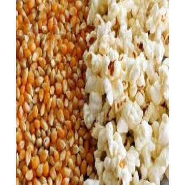 High Quality First Class Wholesale Popcorn