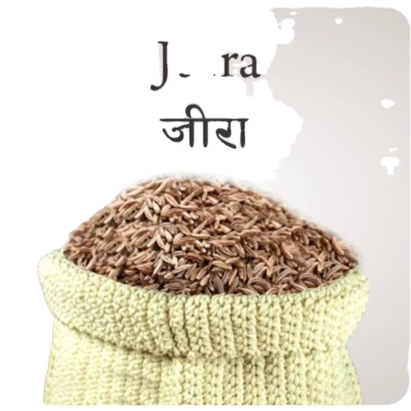 100% Natural Dried Cumin Spice Indian Suppliers from India MN global impex India