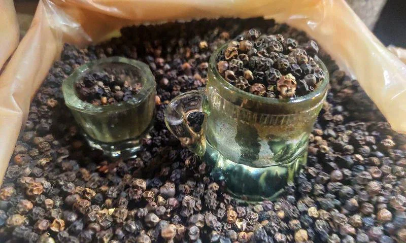 Super Quality Herbs and Spice Black Pepper for Cooking Available at Wholesale Price  from Indian Exporter