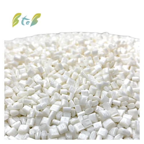 Biodegradable Seashell Powder Toothbrush polylactic acid product