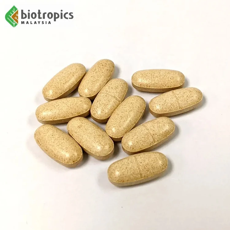 Premium Private Label Malaysia Tongkat Ali 200mg Hard Tablet for Strength and Performance Supplements