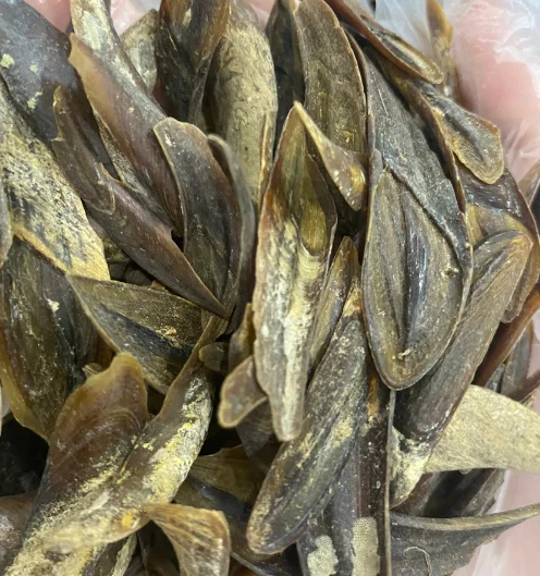 Экстракт духов Blue Lotus Vietnam Murex Operculum горячая Распродажа 2024 высокое качество