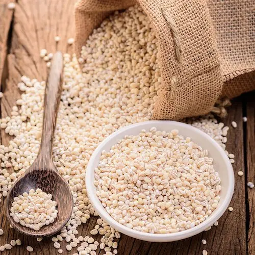 Wholesale Barley for Malt Barley Grains Ready For Export