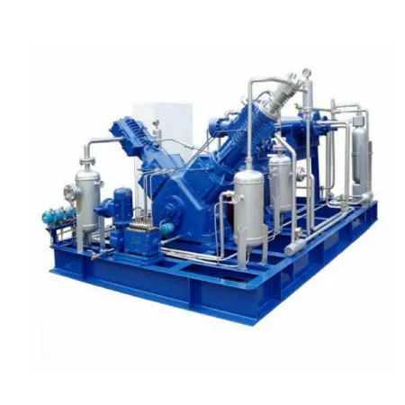 High Quality Oil-Free Piston Natural Gas co2 compressor Hydrogen Compressor biogas compressor for Industrial