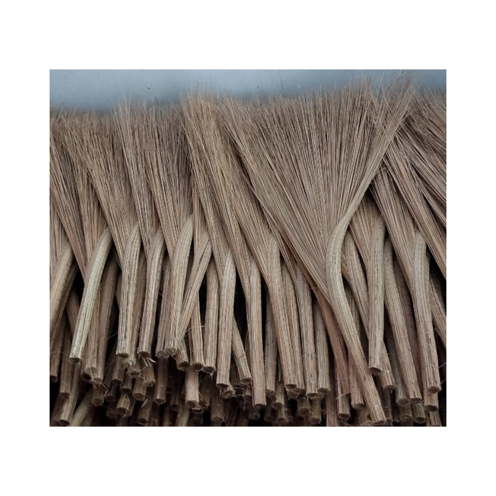 Hot selling Coconut Broom Stick - Coconut Tree-ECO Broom Stick For Cleaning Coconut Grass Broom Sticks
