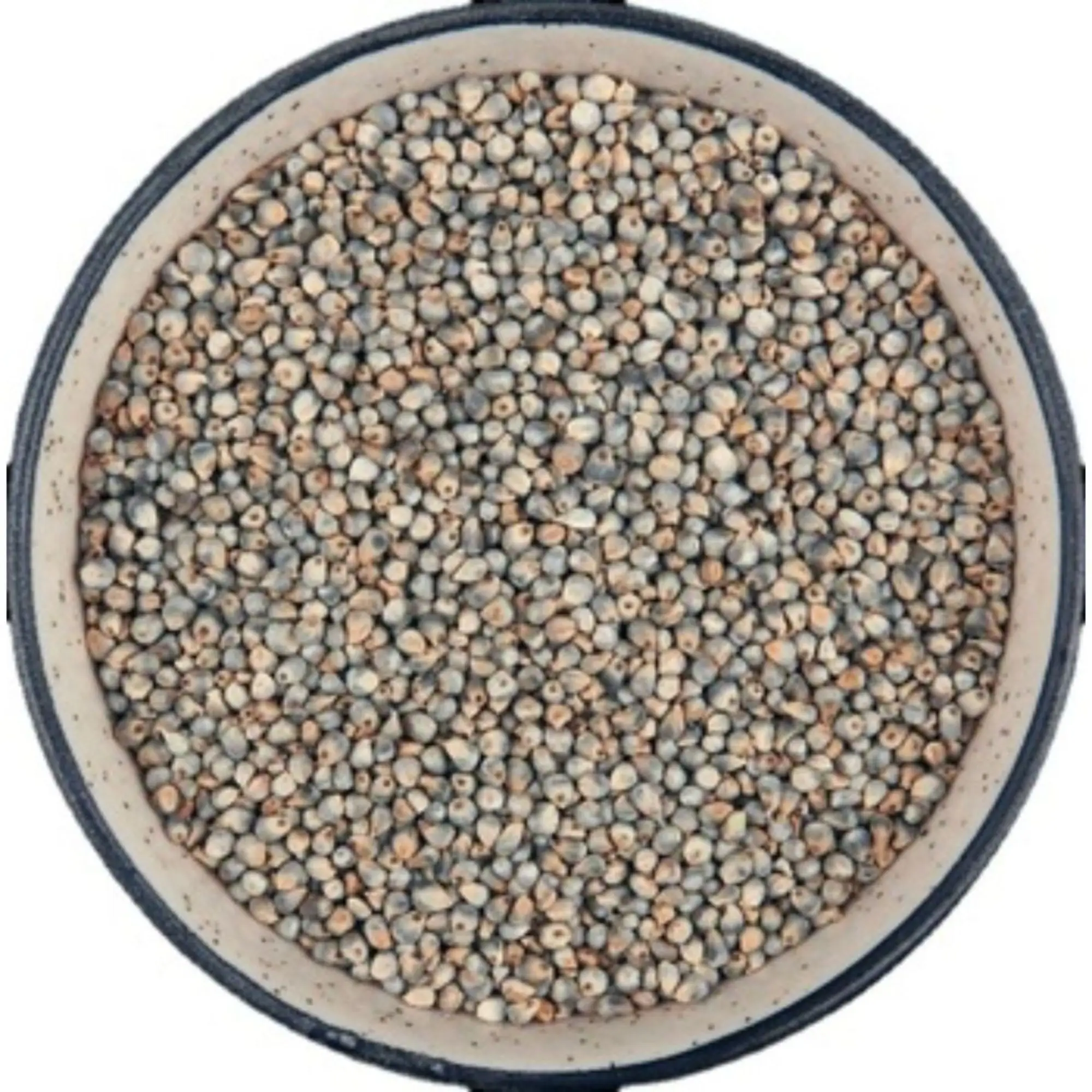 Manufacturer of green millet / bajra / millet bajra for export