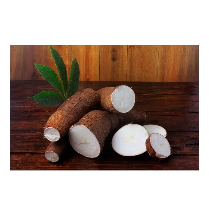 Lowest Price Vegetable Fresh Costa Rica Cassava Roots Premium Quality Bulk Quantity For Exports From Europe