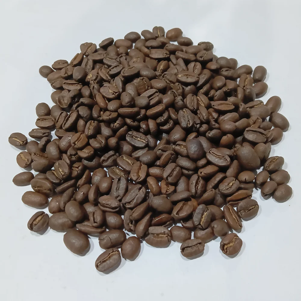 Premium Quality Whole Bean Sumatra Civet Coffee Specialty Grade Roasted for Connoisseurs including certificate
