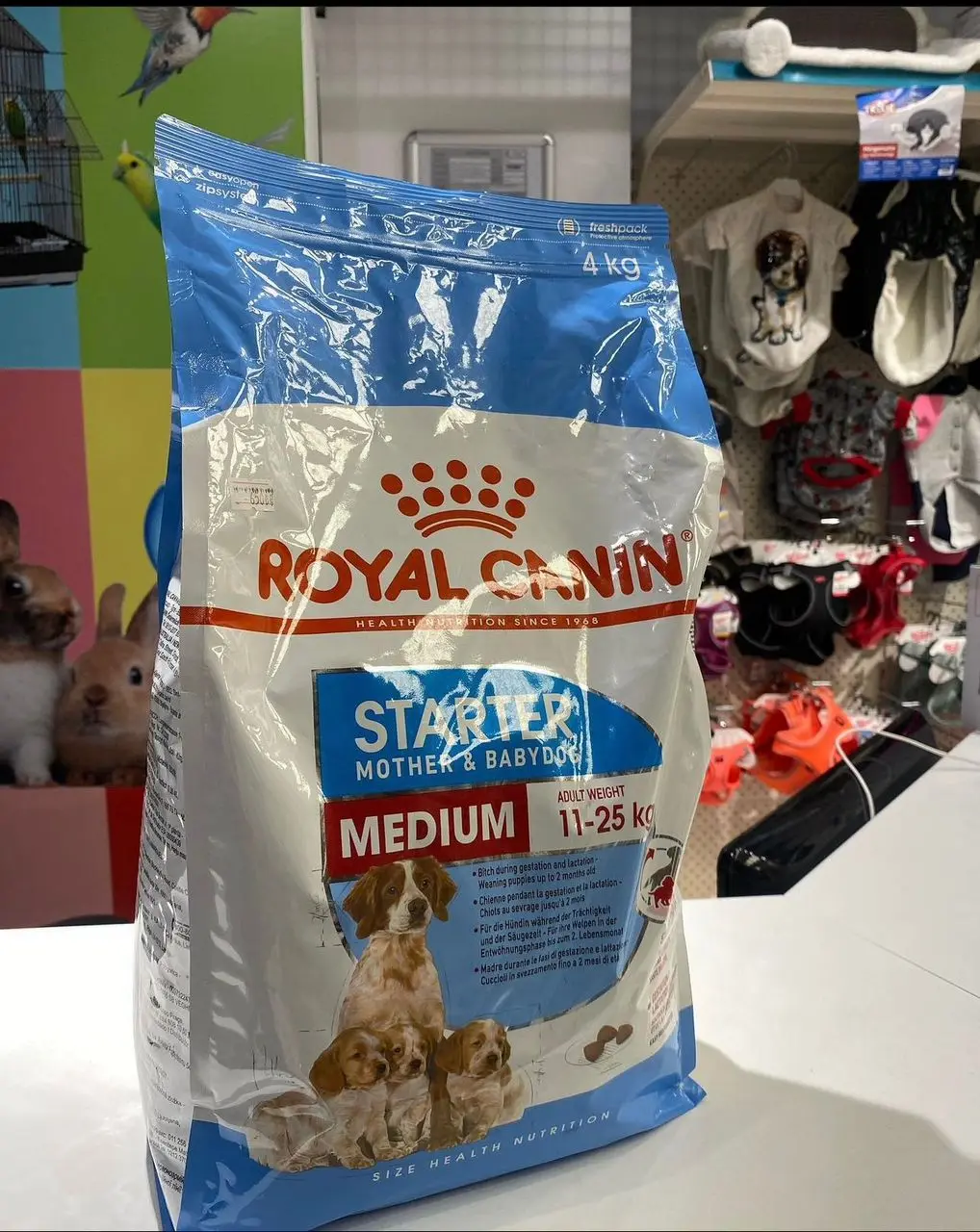 Best Pure Quality Royal Canin Medium Junior Dry Dog Food | Royal Canin Dog Food / Top Quality Royal Canin For Pets Export