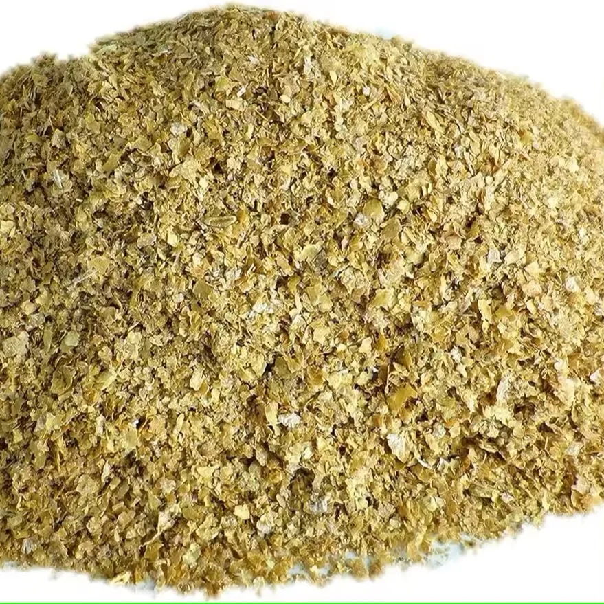Wholesale Barley wheat for Animal Feed Poultry, Animal Feed Wheat and Wheat Bran