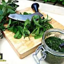 Delicious And Good Taste Mint Paste Food Condiments Spices Kitchen Custom Bulk Seasonings Natural Mint Concentrate Paste