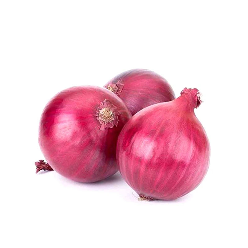 Best Quality Custom Made Wholesale New crop red onion 5cm CNF offer fresh onion factory price