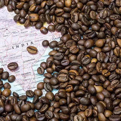 Good Quality Dried Grade A Cocoa Beans Cocoa Powder Cocoa Butter/ Cacao/ Chocolate Bean Trade Dried Sell Cocoa Bean For Sale