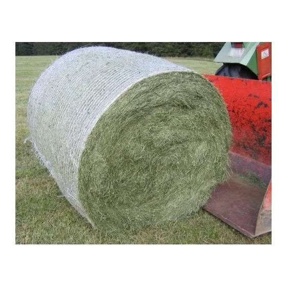Quality Timothy Hay Quality Alfalfa Hay/ Timothy Hay and Lucerne Clover in Bales/Bermuda Orchard Grass Oat Hay