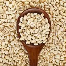 Wholesale Barley for Malt Barley Grains Ready For Export