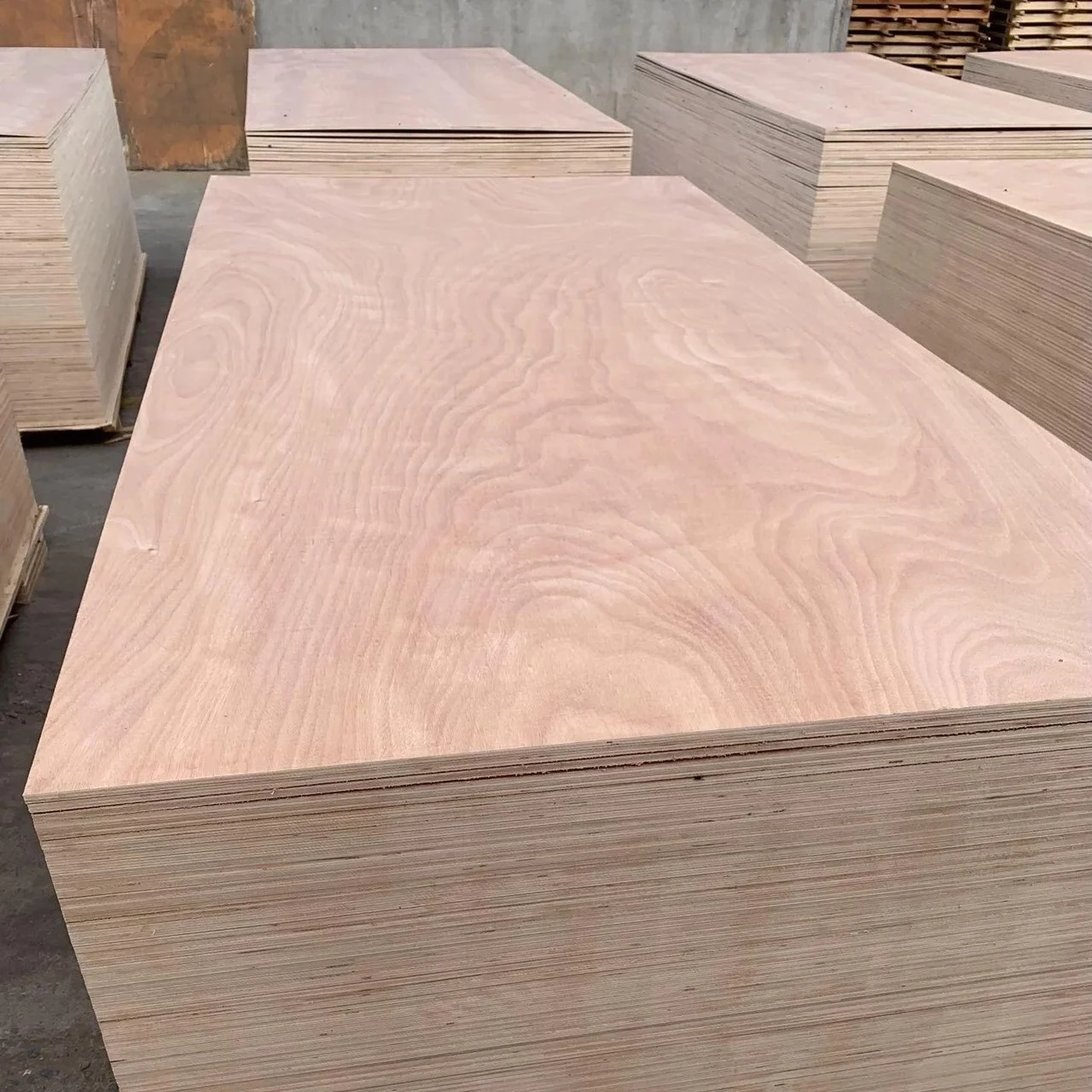 Wholesale birch plywood with cheap price 1220*2440*9-40mm/4*8/89-40mm