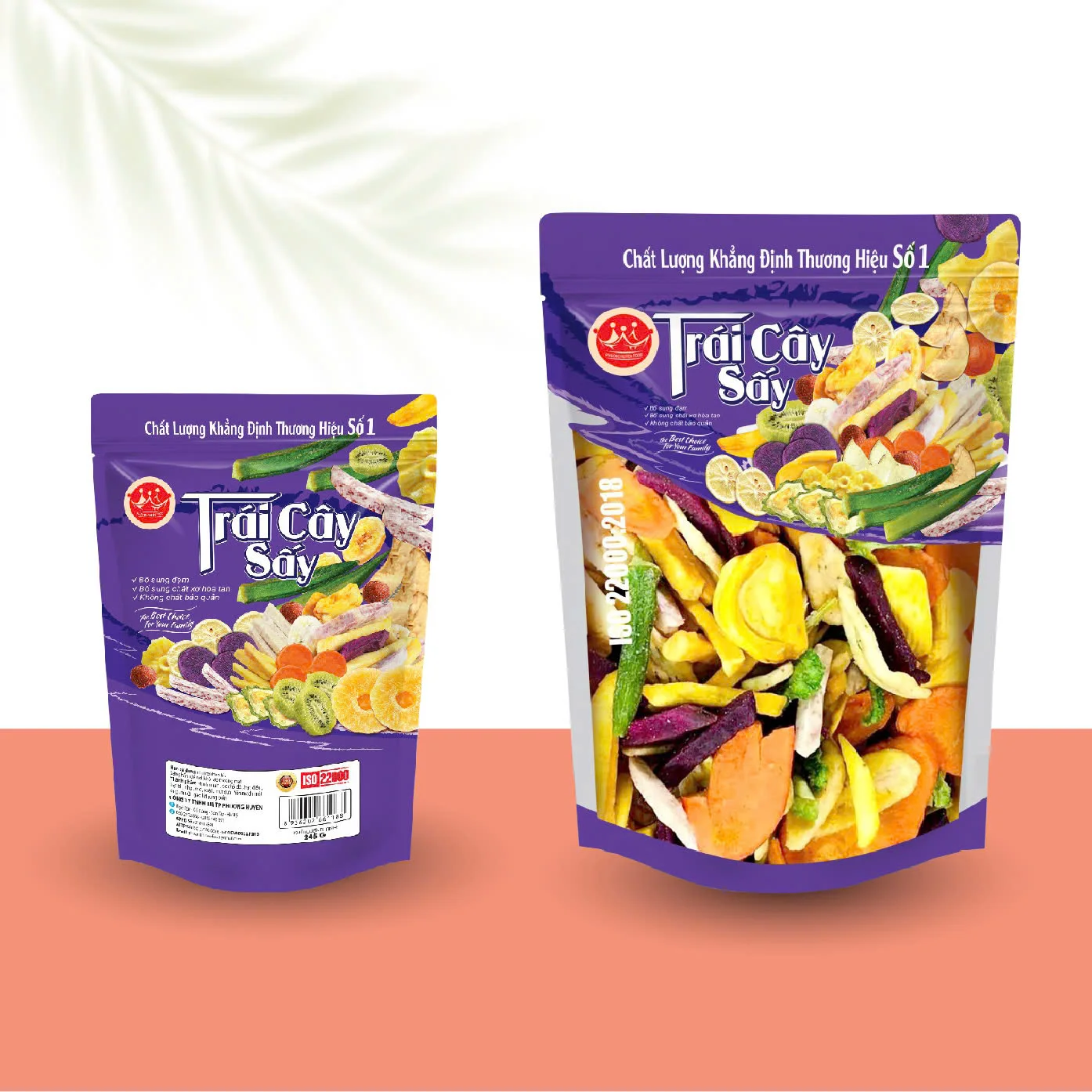 Convenient Organic Dried Fruit Dishes: Sugar-Free, Nutrient-Rich, and Ideal for Global Export Markets