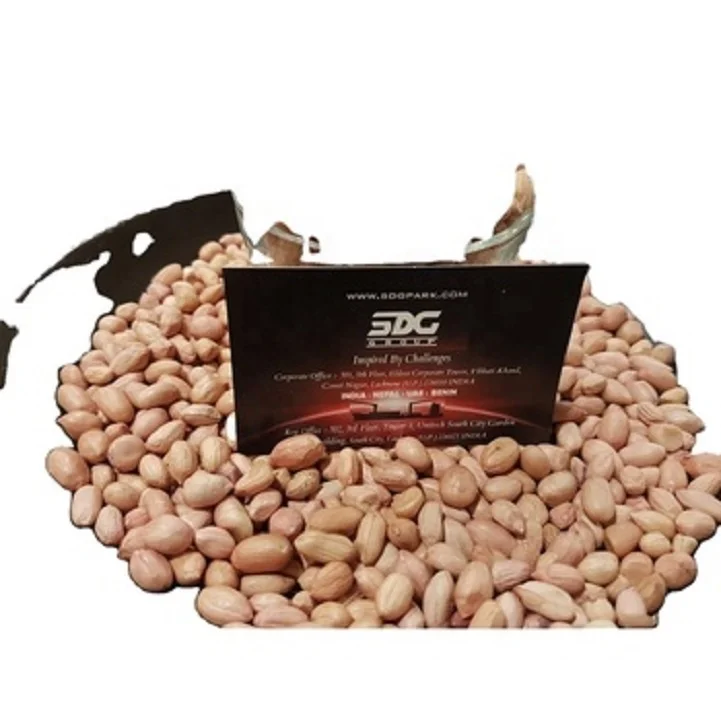 Premium Quality Java Peanut 80 90 Count Bulk Exporter Supreme  High Protein Raw Peanut Kernels Peanut  at Low Price from India