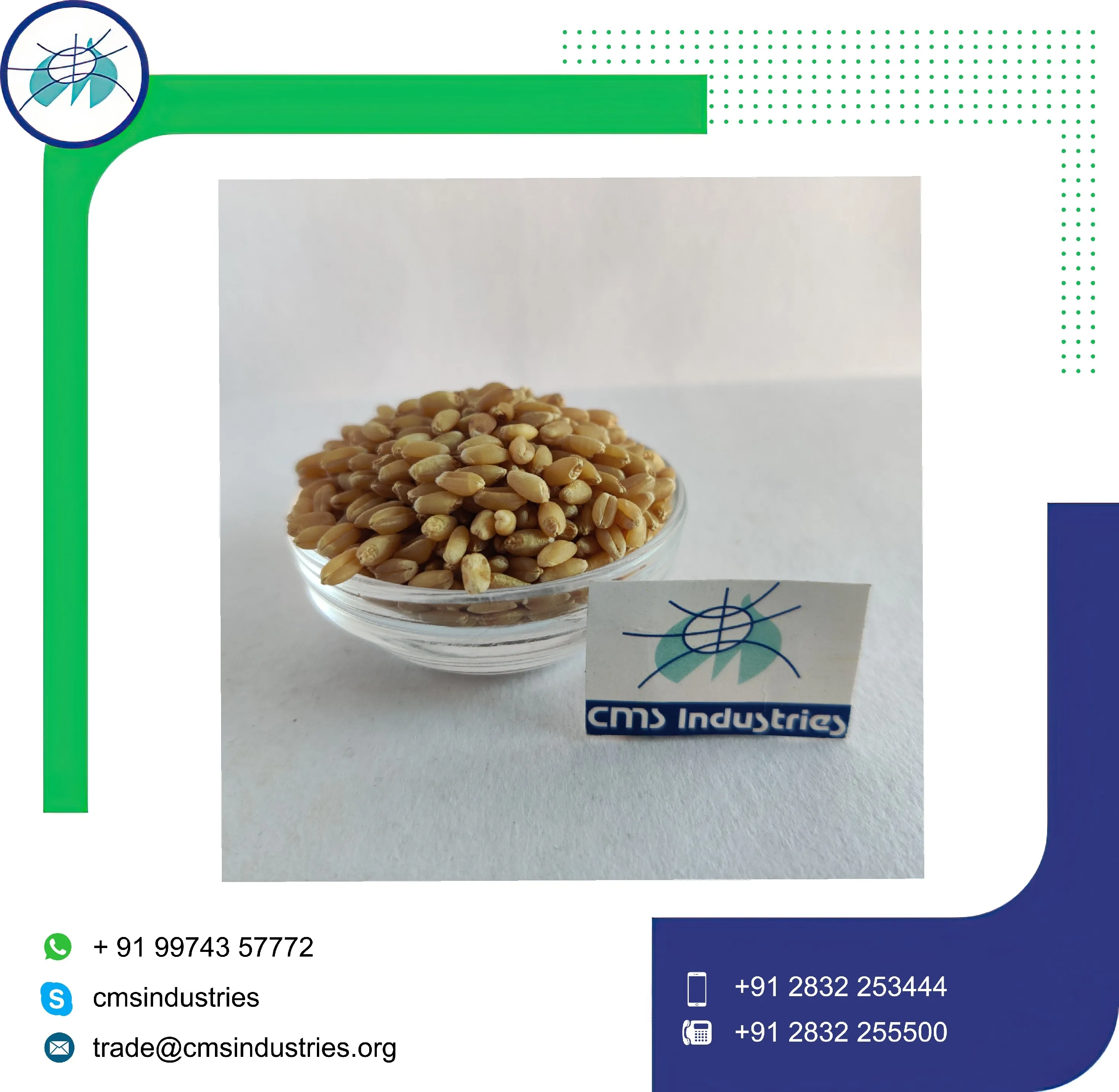 Good Supplier Lower Price Milling Wheat