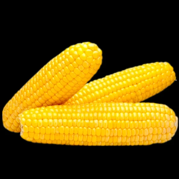 Frozen Corn Delightful Harvest Haven Wholesale Global Export From Vietnam 2023  VI HUYNH