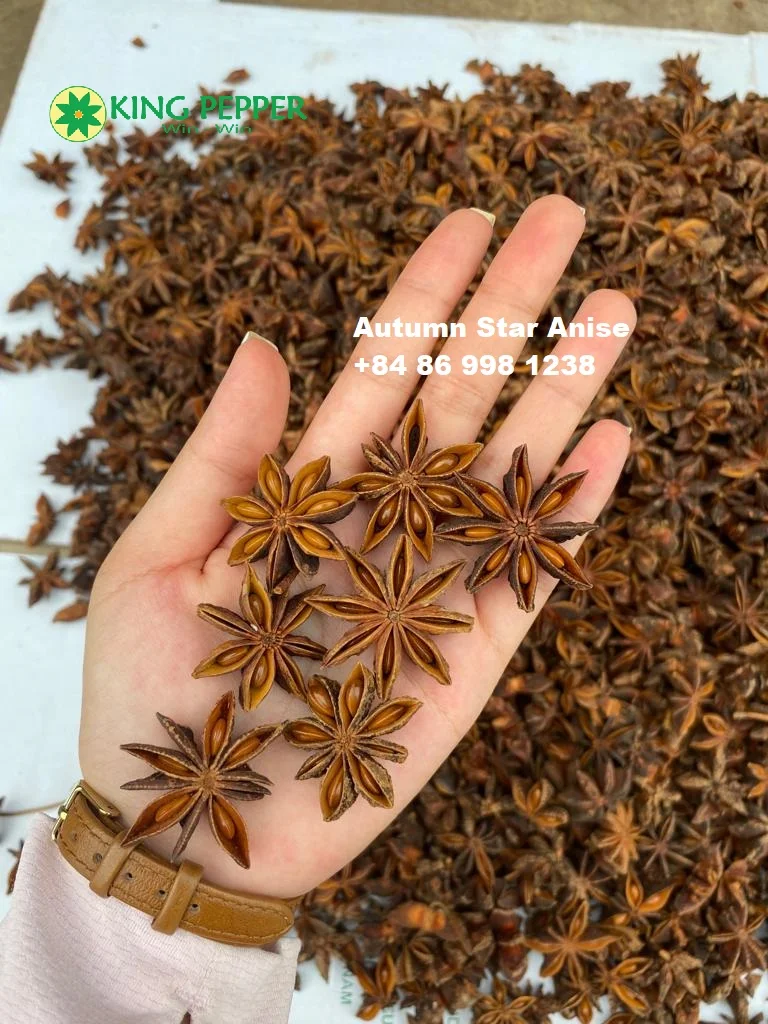 New Crop Vietnam Star Anise Autumn and Spring at Good Prices Spices And Herbs For Food Ingredients