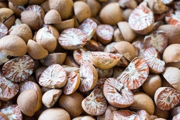 Dried split betel nut cheap price from Vietnam supplier/Wholesale areca nut good price 2023