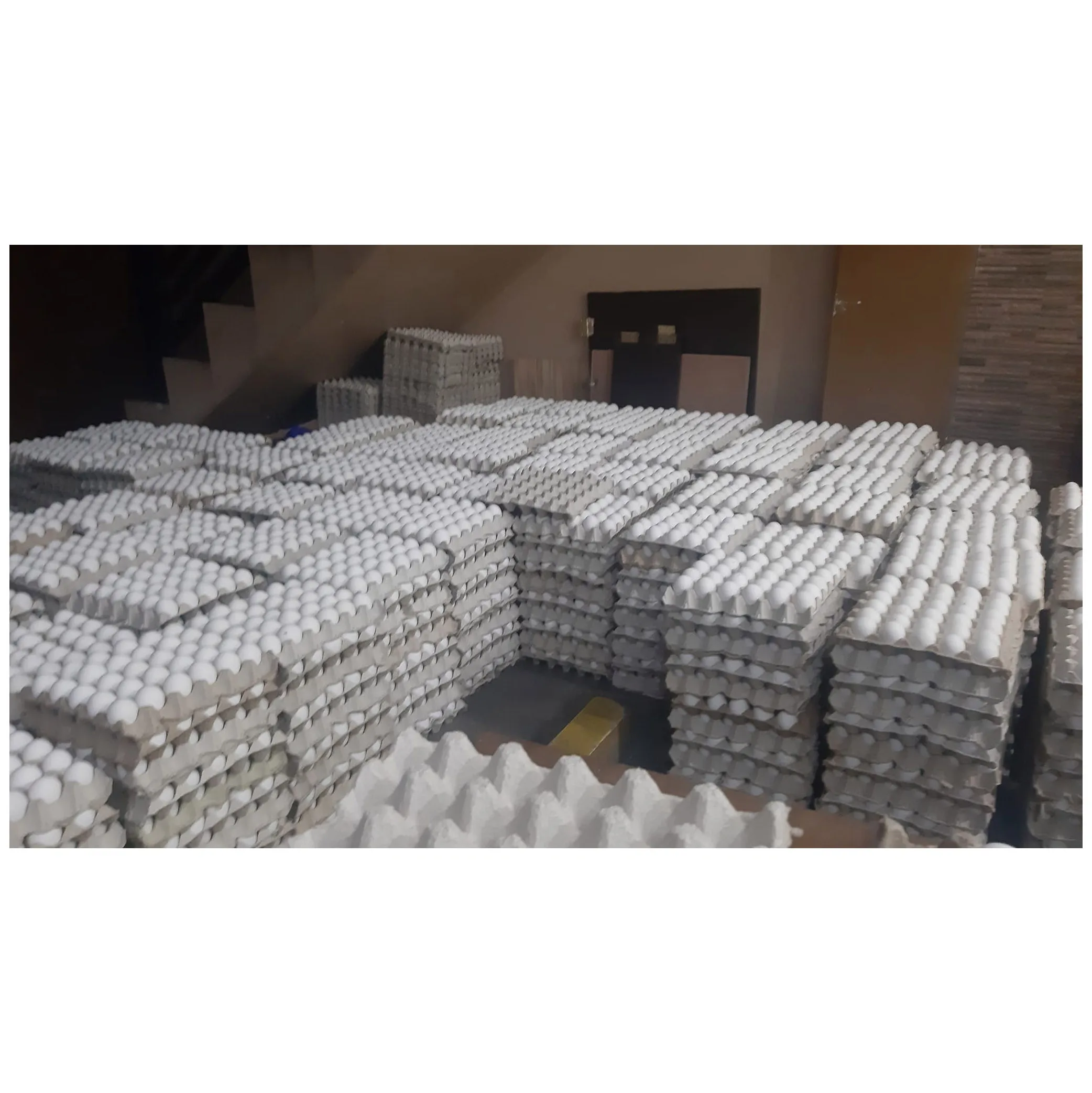 Дешевые фермерские свежие куриные яйца белая скорлупа куриные яйца органические оплодотворенные инкубационные яйца