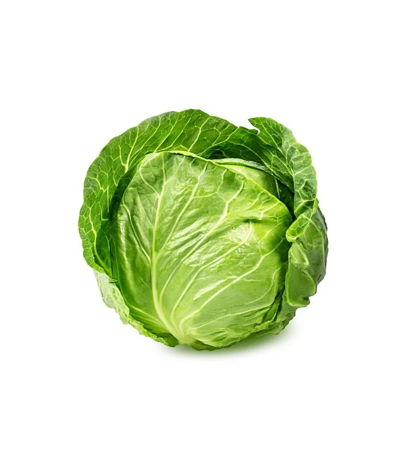 Competitive Price Organic Cabbage Style Piece Weight Origin Type Variety Product Fresh Place Model Cultivation From Bangladesh