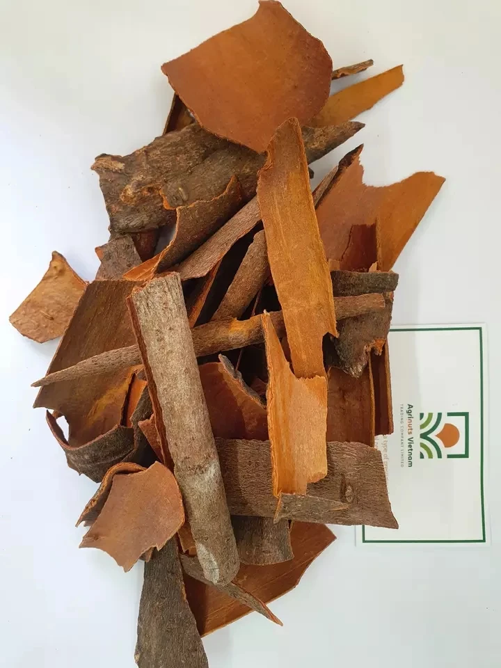 Product With Best Price Wholesale High Quality From Manufacture Cassia Broken with skin Origin Vietnam