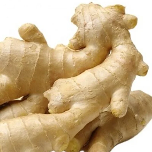 Fresh Ginger for Ginger Fresh Best Quality In Carton Professional Export Fresh Ginger