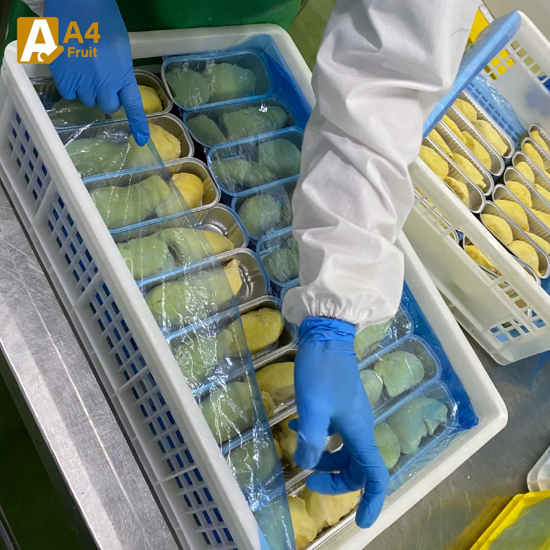 Premium Grade Monthong Durian - Available fresh and frozen, delivering rich taste and top-tier quality from Thailand.